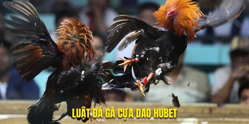 Luật đá gà cựa dao