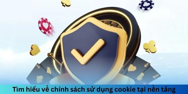 Tìm hiểu về cách sử dụng cookie chính trên nền tảng